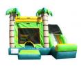 The Tropical Slide (Dry)
